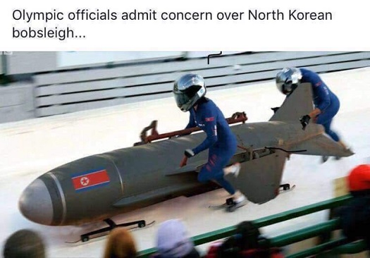 NK bobsled.jpg